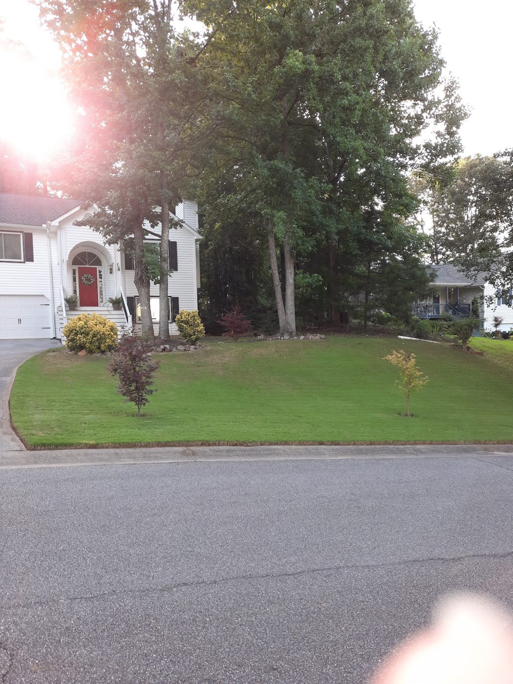 Shrubs and beds trimmed