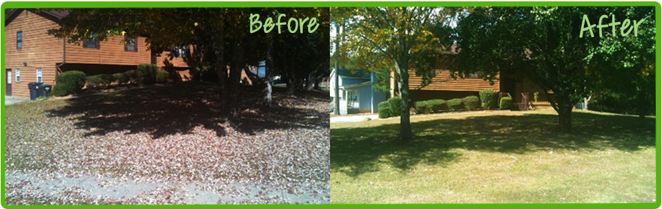 Before and after