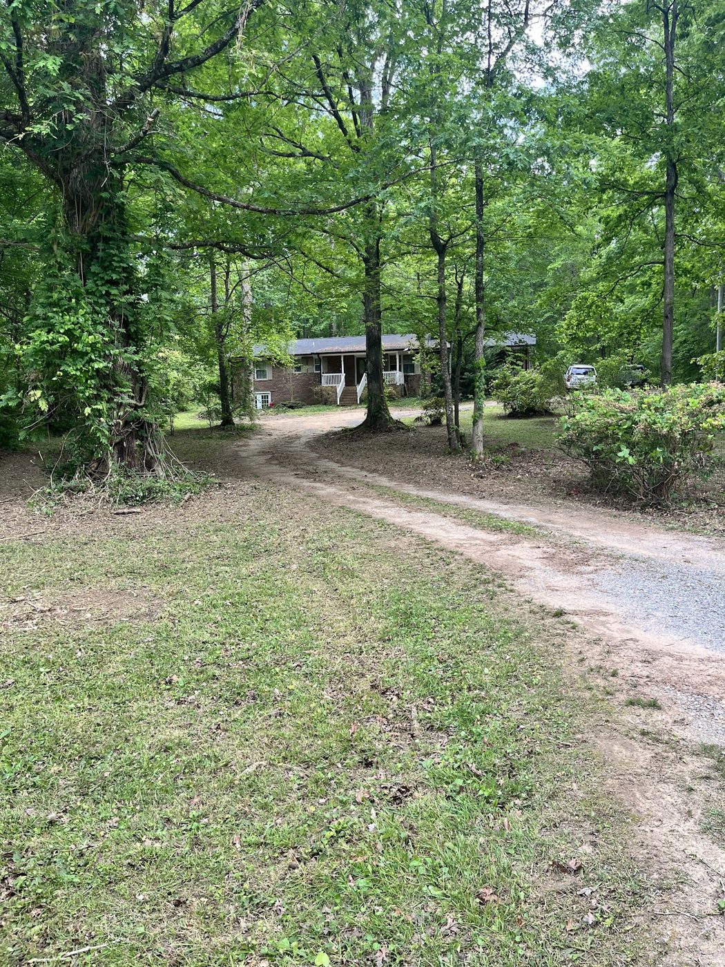 Overgrown lot cleared