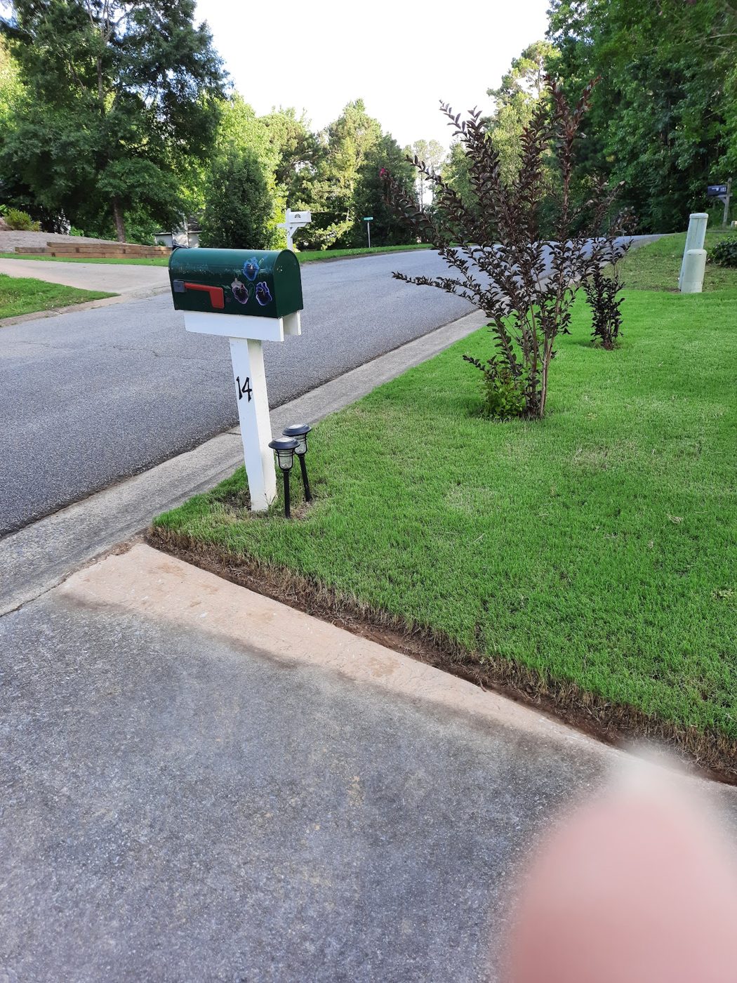 Clean edging along the curb