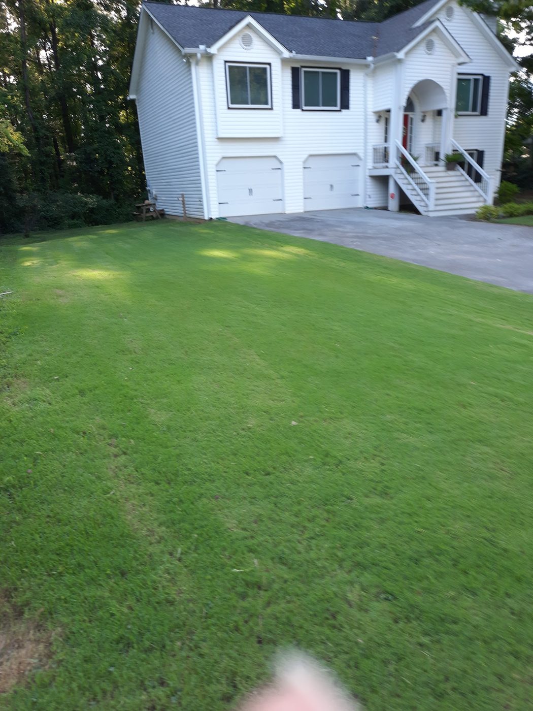 Freshly mowed and striped front lawn